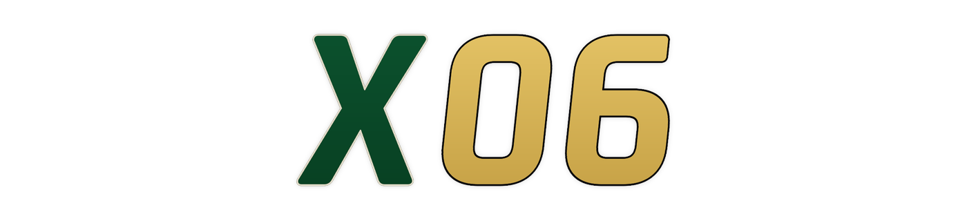 x06